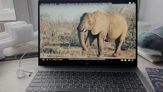 Ноутбук Honor MagicBook X 16 2024. Краткий обзор