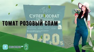 Томат Розовый спам