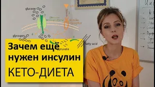 Зачем ещё нужен инсулин | Без инсулина никуда