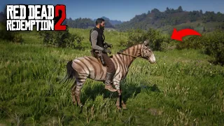 You'll Never Ride Arabian Horses If You Ride This N11 - RDR2