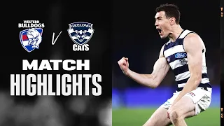 Western Bulldogs v Geelong Cats Highlights | Round 12, 2022 | AFL