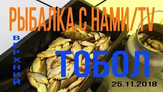 ПОПАЛ НА ЖОР, КРУПНАЯ ПЛОТВА И ОКУНЬ ЖАДНО АТАКУЮТ МОРМЫШКУ! ЛЕСКА ЗВЕНИТ И РЕЖЕТ ПАЛЬЦЫ! КАЗАХСТАН!