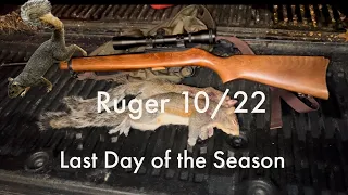 Squirrel Hunt w/ ruger 10/22 ( Season Finale)