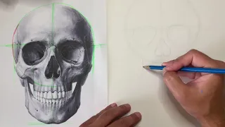 Drawing a Human Skull:  Proportion and Shading