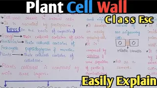 Cell Wall Structure, Functions And Composition | Class 11 Biology