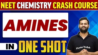 AMINES in 1 Shot : All Concepts, Tricks & PYQs | NEET Crash Course | UMMEED