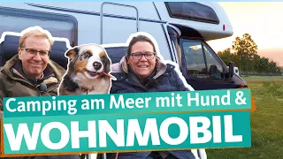 Buying a used motorhome - first camping holiday by the sea | WDR Reisen