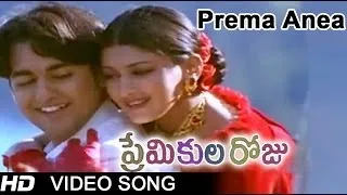 Prema Ane Pariksha Full Video Song || Premikula Roju Movie || Kunal || Sonali Bendre || A.R.Rahman