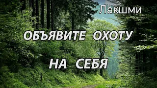 Объявите охоту на себя (Лакшми, НикОшо)