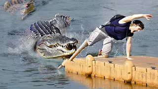 If You re Scared of Crocodiles, Don t Watch This