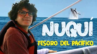 EL PLAN MÁS IMPRESIONANTE PARA HACER EN COLOMBIA: Las ballenas de Nuquí | Qué pasa Mariete