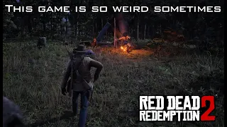 What the hell just happened? - Red Dead Redemption 2 is crazy at times