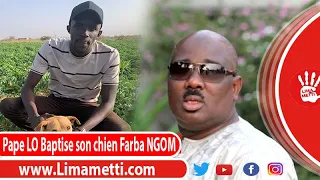 Le fils de Cissé Lô baptise son chien Farba Ngom