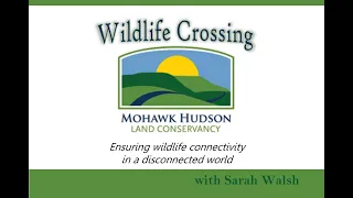 Wildlife Crossings with the Mohawk Hudson Land Conservancy