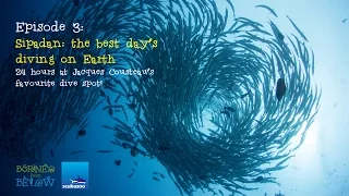 Sipadan: The Best Day's Diving on Earth | Borneo from Below (S01E03)