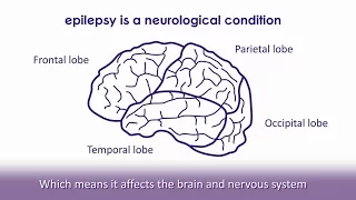 What is epilepsy? | Epilepsy Society