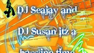 DJ Seajay n DJ Susan itz a bassline time (2013)