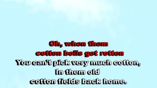 Cotton Field - Creedence (karaoke)