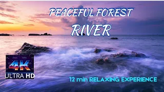 4k Healing Music Absolute Stress Relief, Stop Anxiety 🌍 Deep Sleep And Relax With Sound Of The Ocean