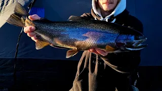 Rainbow trout through the ice