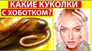 Какие Куколки с Хоботком? Какие Бабочки с Хоботком? Куколки Бражников или Куколки Павлиноглазок?