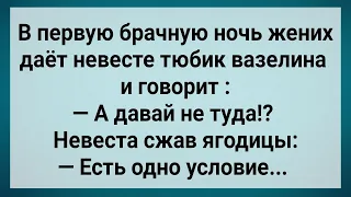 В Брачную Ночь Жених Захотел Не Туда! Сборник Свежих Анекдотов! Юмор!