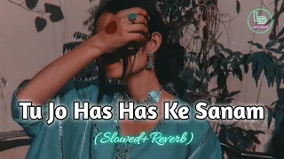 Tu Jo Has Has Ke Sanam | Slowed+Reverb | Udit Narayan