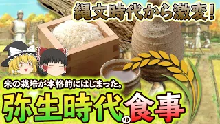 【ゆっくり解説】時代を遡る！弥生時代の食事について