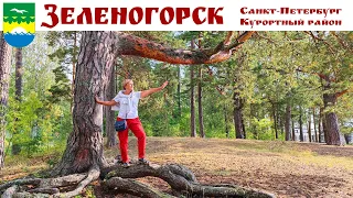 ЗЕЛЕНОГОРСК - Курортный р-он Санкт-Петербурга: Парк культуры и отдыха, Церковь Преображения Господня