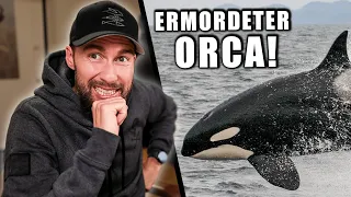 ORCA wurde ERSCHOSSEN? - Orca mitten in Frankreich verstorben... | Robert Marc Lehmann