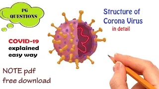 Corona virus - COVID19 | structure & origin | Microbiology | Probable NEET PG questions