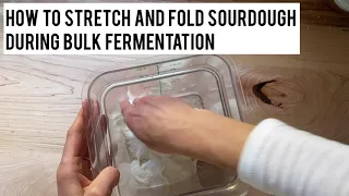 Simple Sourdough Phase 2: Bulk Fermentation | Stretch + Fold