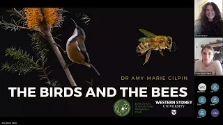 Birds Meet: The Bees