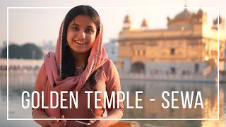 Golden Temple Sewa - Amritsar, Punjab - Travel - Shri Harmandir Sahib Gurudwara  - Vanika Sangtani