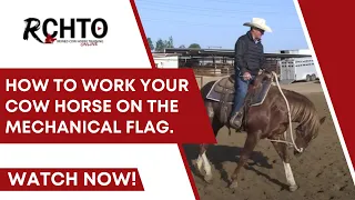 How To Work Your Cow Horse on The Mechanical Flag.