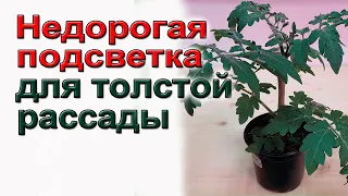 Недорогая подсветка для толстой рассады. Подробно.