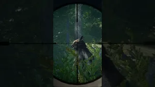 I shot a BLACK BEAR in the BRAIN with a .22 🐻🧠🔫| theHunter: Call of the Wild