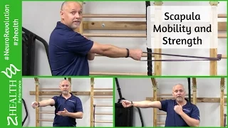 Scapula Strength and Mobility