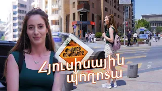 Վիվտաշի արկածները Հյուսիսային պողոտայում