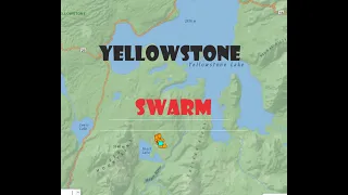 6.6 Earthquake Kermadec trench.. intense Yellowstone swarm overnight. Wednesday update 3/2/2022