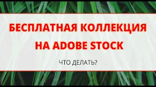 Бесплатная коллекция на Adobe Stock - нам это надо?