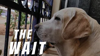 The Wait | One Minute Short Film