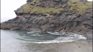 Boscastle Blowhole, Cornwall - 2016