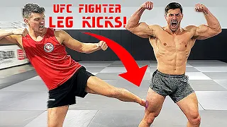 Leg Kicked by Pro UFC Fighter Stephen Wonderboy Thompson *CRAZY PAIN* | Bodybuilder VS MMA Challenge