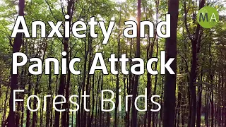 Anxiety and Panic Attack Relief - Forest Birds + Isochronic Tones 8-8.6Hz