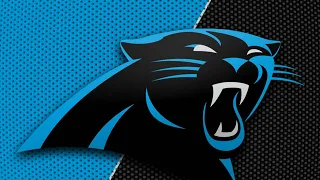 I fixed the panthers pt 2