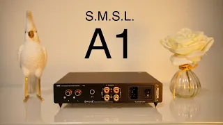 SMSL VMV A1 class A amp UNBOXING