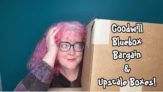 Goodwill BlueBox Bargain Basement and Premium Apparel Unboxing!