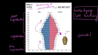 Age pyramids | Organisms and Populations | Biology | Khan Academy