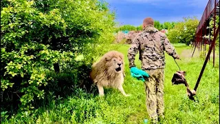 ОЧЕНЬ ЭКСТРЕМАЛЬНО! Белый лев ПОШЕЛ В АТАКУ на Олега Зубкова и пришлось применять тапок и полотенце)